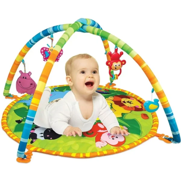 Play Gym Large